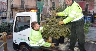 El ayuntamiento de Barcelona recogerá árboles de Navidad y adornos de procedencia vegetal para reciclarlos
