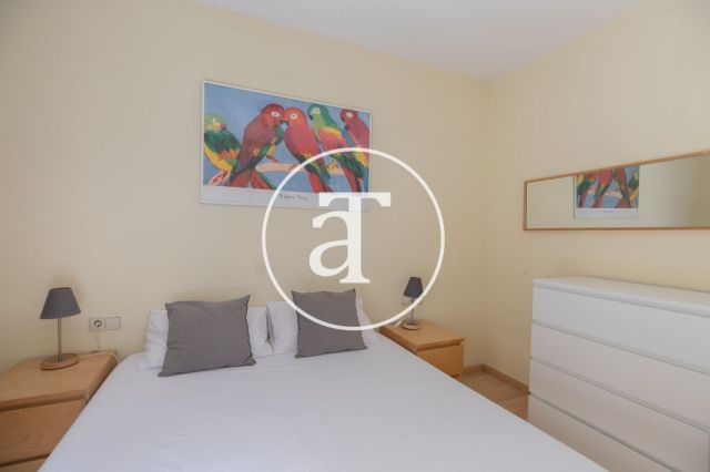 Comfortable furnished apartment steps away from the wonderful Citadel Park 16