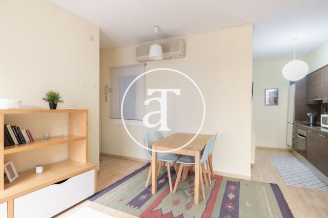 Comfortable furnished apartment steps away from the wonderful Citadel Park 9