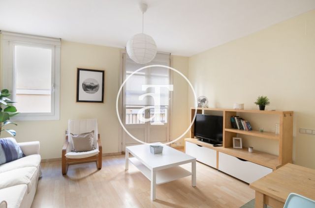 Comfortable furnished apartment steps away from the wonderful Citadel Park 12