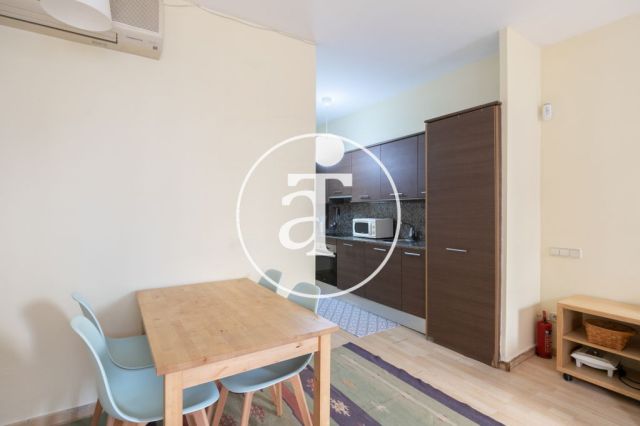 Comfortable furnished apartment steps away from the wonderful Citadel Park 7