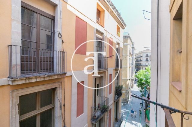 Comfortable furnished apartment steps away from the wonderful Citadel Park 22