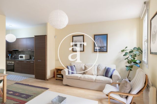 Comfortable furnished apartment steps away from the wonderful Citadel Park 5
