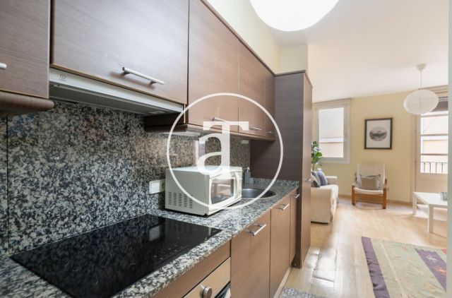 Comfortable furnished apartment steps away from the wonderful Citadel Park 14