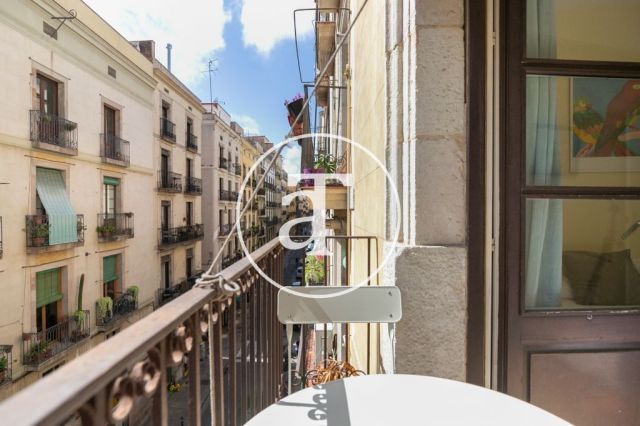 Comfortable furnished apartment steps away from the wonderful Citadel Park 20