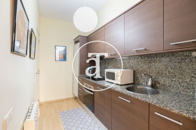 Comfortable furnished apartment steps away from the wonderful Citadel Park 13