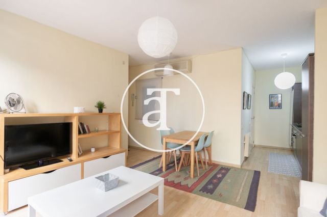 Comfortable furnished apartment steps away from the wonderful Citadel Park 10