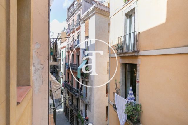 Comfortable furnished apartment steps away from the wonderful Citadel Park 21