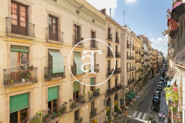 Comfortable furnished apartment steps away from the wonderful Citadel Park 19