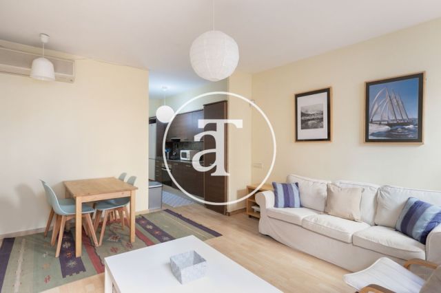 Comfortable furnished apartment steps away from the wonderful Citadel Park 2