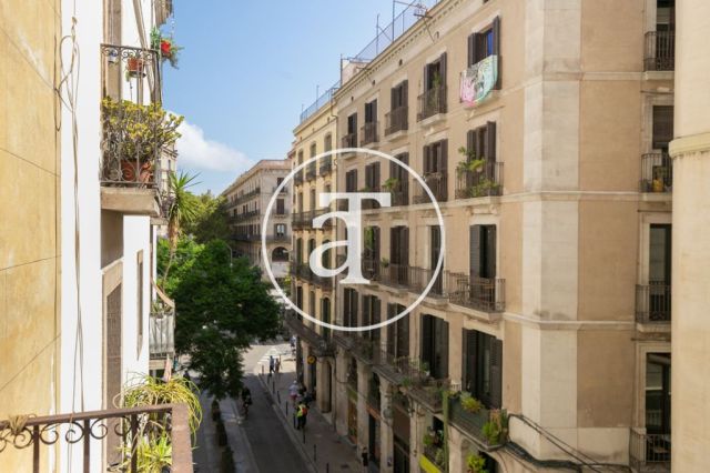 Comfortable furnished apartment steps away from the wonderful Citadel Park 18