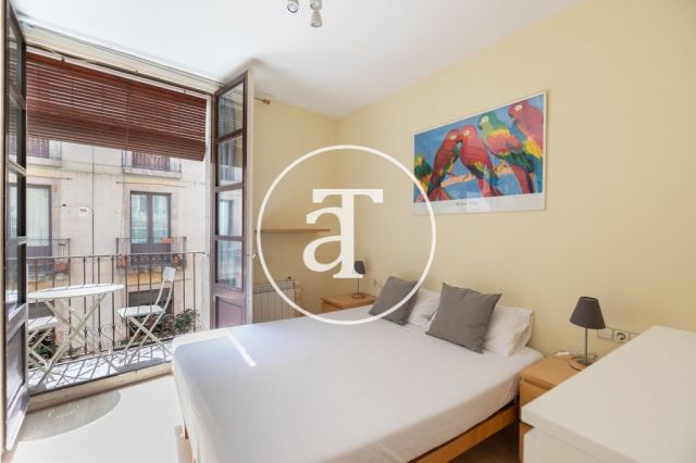 Comfortable furnished apartment steps away from the wonderful Citadel Park 15