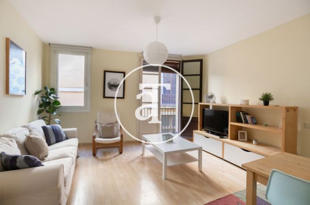 Comfortable furnished apartment steps away from the wonderful Citadel Park 3