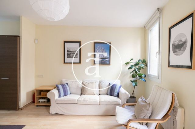Comfortable furnished apartment steps away from the wonderful Citadel Park 6