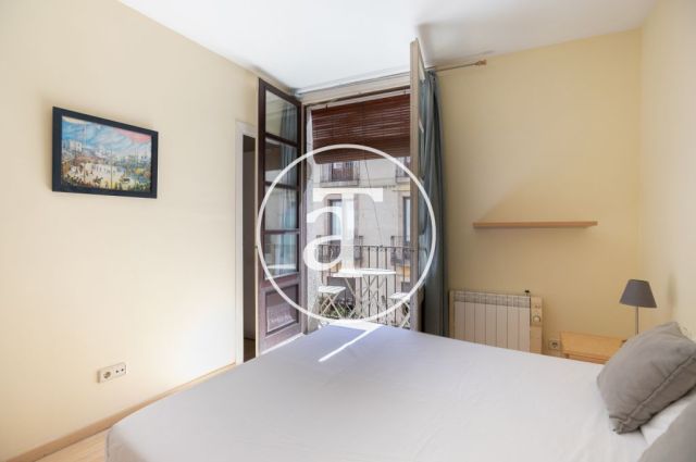 Comfortable furnished apartment steps away from the wonderful Citadel Park 23