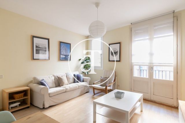Comfortable furnished apartment steps away from the wonderful Citadel Park 4
