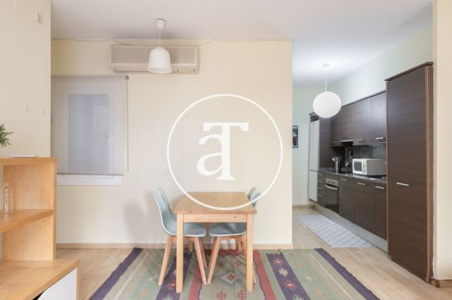 Comfortable furnished apartment steps away from the wonderful Citadel Park 8