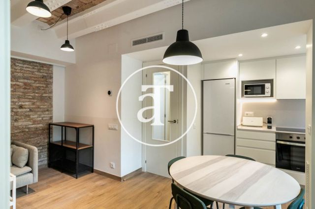 Monthly rental apartment with 3 bedrooms and terrace in El Clot 8