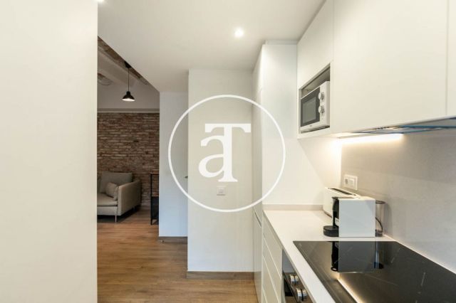 Monthly rental apartment with 3 bedrooms and terrace in El Clot 15