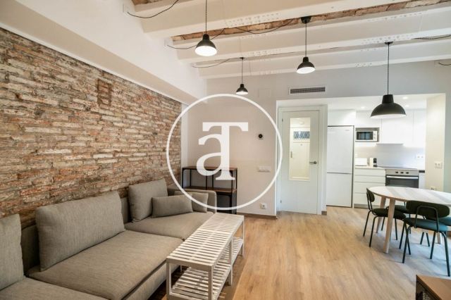Monthly rental apartment with 3 bedrooms and terrace in El Clot 6