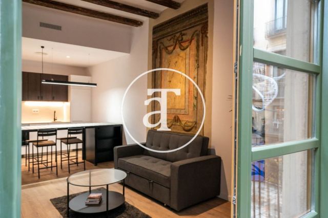 Monthly rental apartment with1 bedroom in the Born area 11