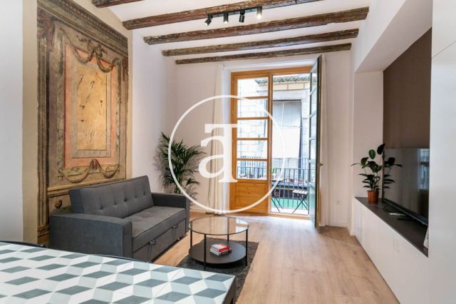 Monthly rental apartment with1 bedroom in the Born area 2