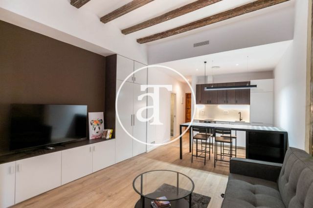 Monthly rental apartment with1 bedroom in the Born area 8