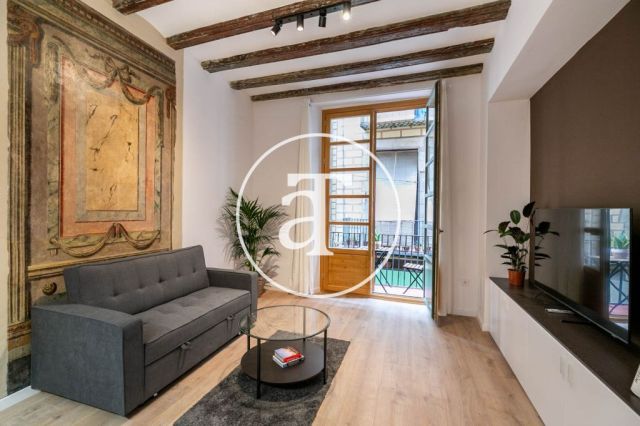 Monthly rental apartment with1 bedroom in the Born area