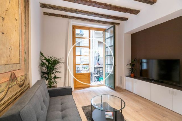 Monthly rental apartment with1 bedroom in the Born area 7