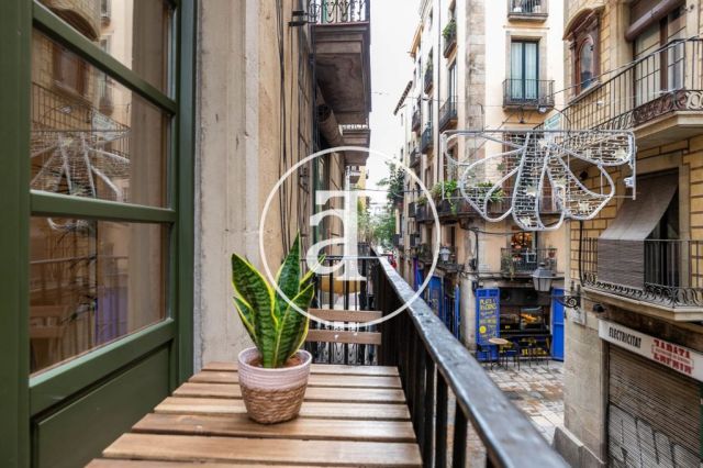 Monthly rental apartment with1 bedroom in the Born area 17