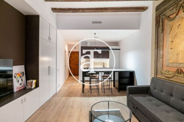 Monthly rental apartment with1 bedroom in the Born area 3