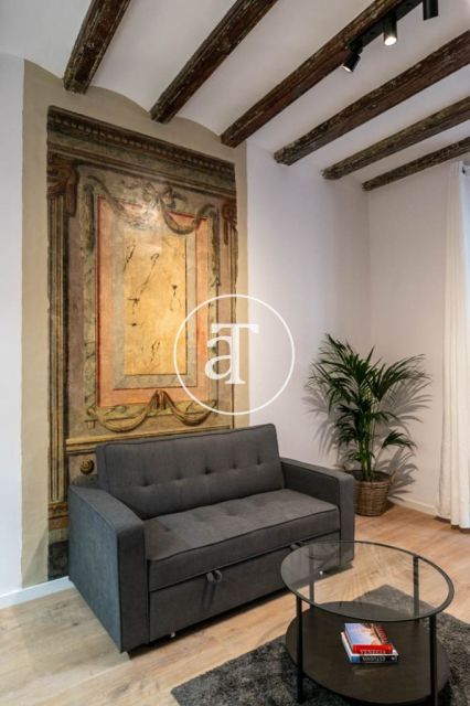 Monthly rental apartment with1 bedroom in the Born area 13