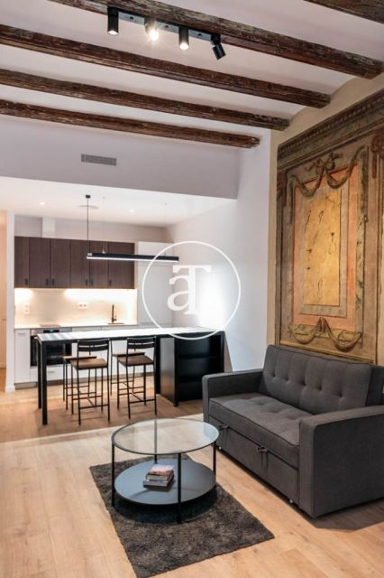 Monthly rental apartment with1 bedroom in the Born area 10