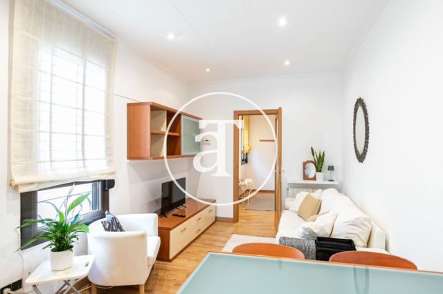 Monthly rental penthouse with 2 bedrooms and terrace in Gracia 8