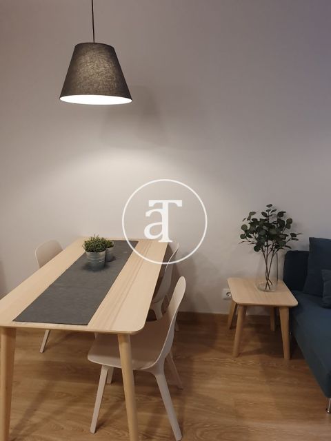 Monthly rental apartment with 2 bedrooms in Poblenou 5