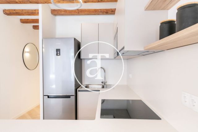 Monthly rental apartment with 2 bedrooms close to Plaza Universitat 17