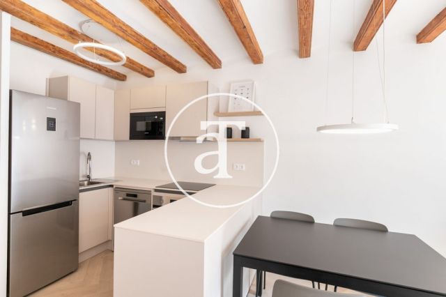 Monthly rental apartment with 2 bedrooms close to Plaza Universitat 18