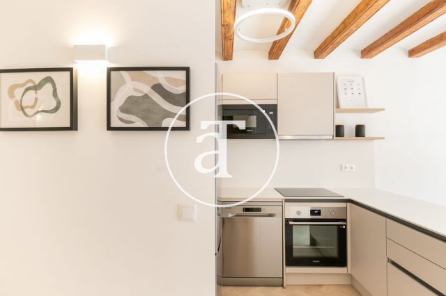 Monthly rental apartment with 2 bedrooms close to Plaza Universitat 14