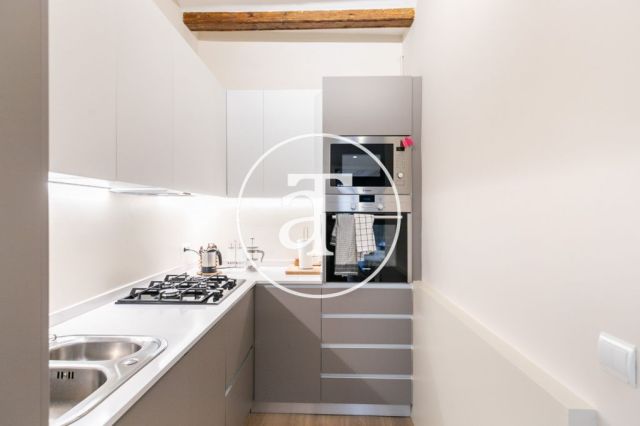Monthly rental apartment  with 1 bedroom in Born neighborhood 16