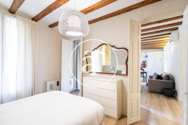 Monthly rental apartment  with 1 bedroom in Born neighborhood 25