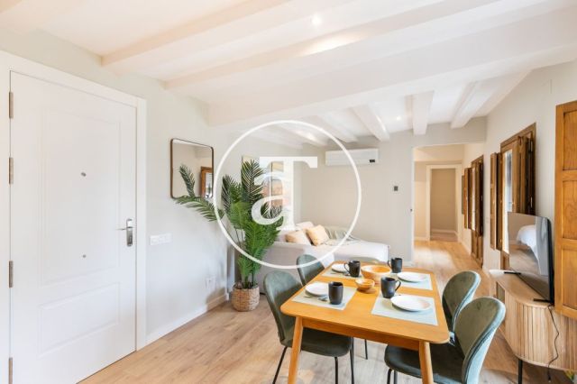 Monthly rental apartment with 2 bedrooms in the Gothic Quarter 10