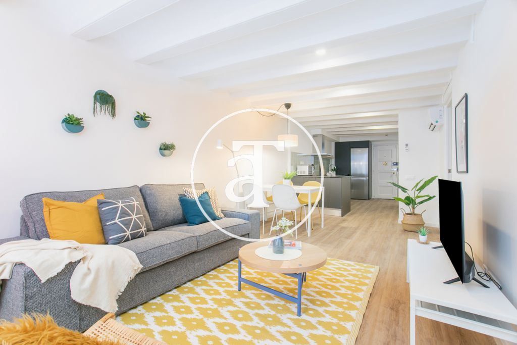 Appartement meublé spacieux dans le centre de Barcelone 1