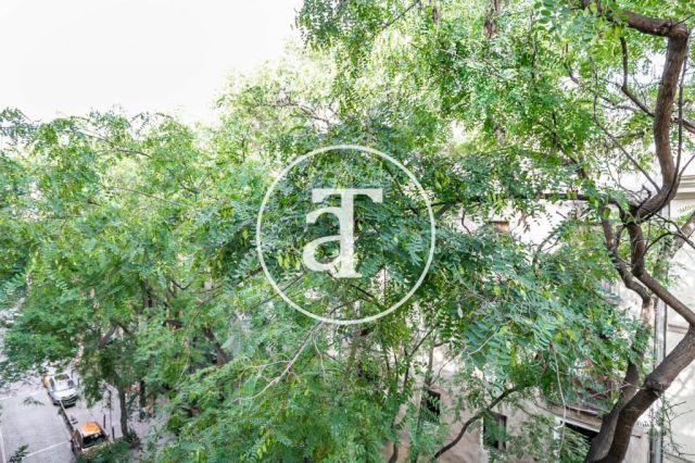 Piso de alquiler temporal de 3 habitaciones próximo al Parque de la Ciudadela 6
