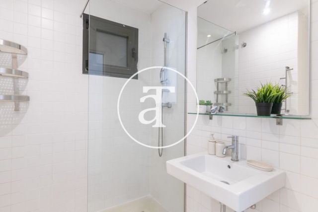 Piso de alquiler temporal de 2 habitaciones y 2 terrazas en el barrio Sagrada Familia 39