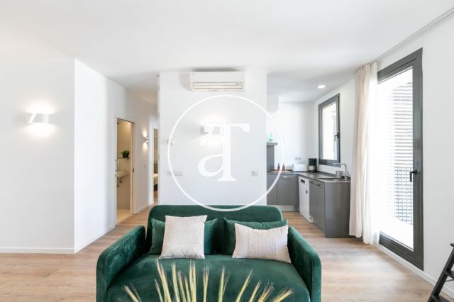 Piso de alquiler temporal de 2 habitaciones y 2 terrazas en el barrio Sagrada Familia 5