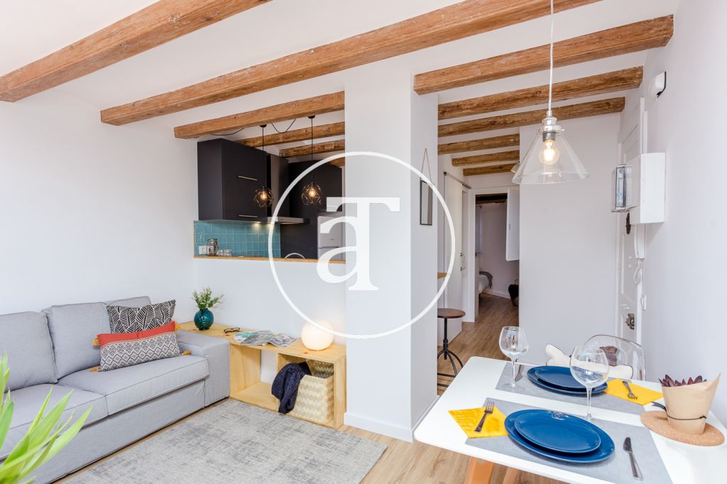 Monthly rental penthouse with 1 bedroom in Sant Antoni 2