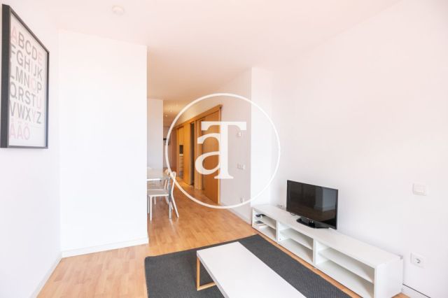 Bright furnished apartment in Provença street 2