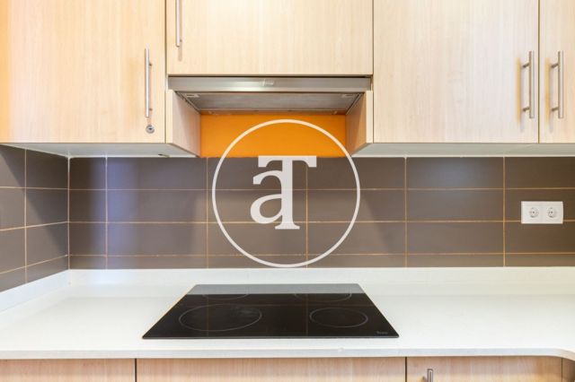 Bright furnished apartment in Provença street 11