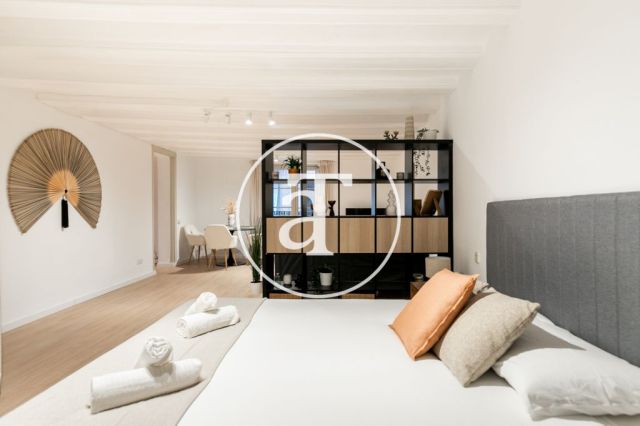 Piso de alquiler temporal de 1 habitación y 1 baño en Ciutat Vella 17