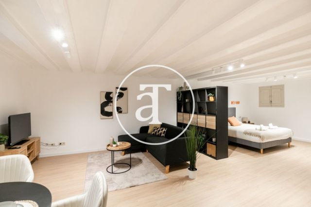 Piso de alquiler temporal de 1 habitación y 1 baño en Ciutat Vella 18